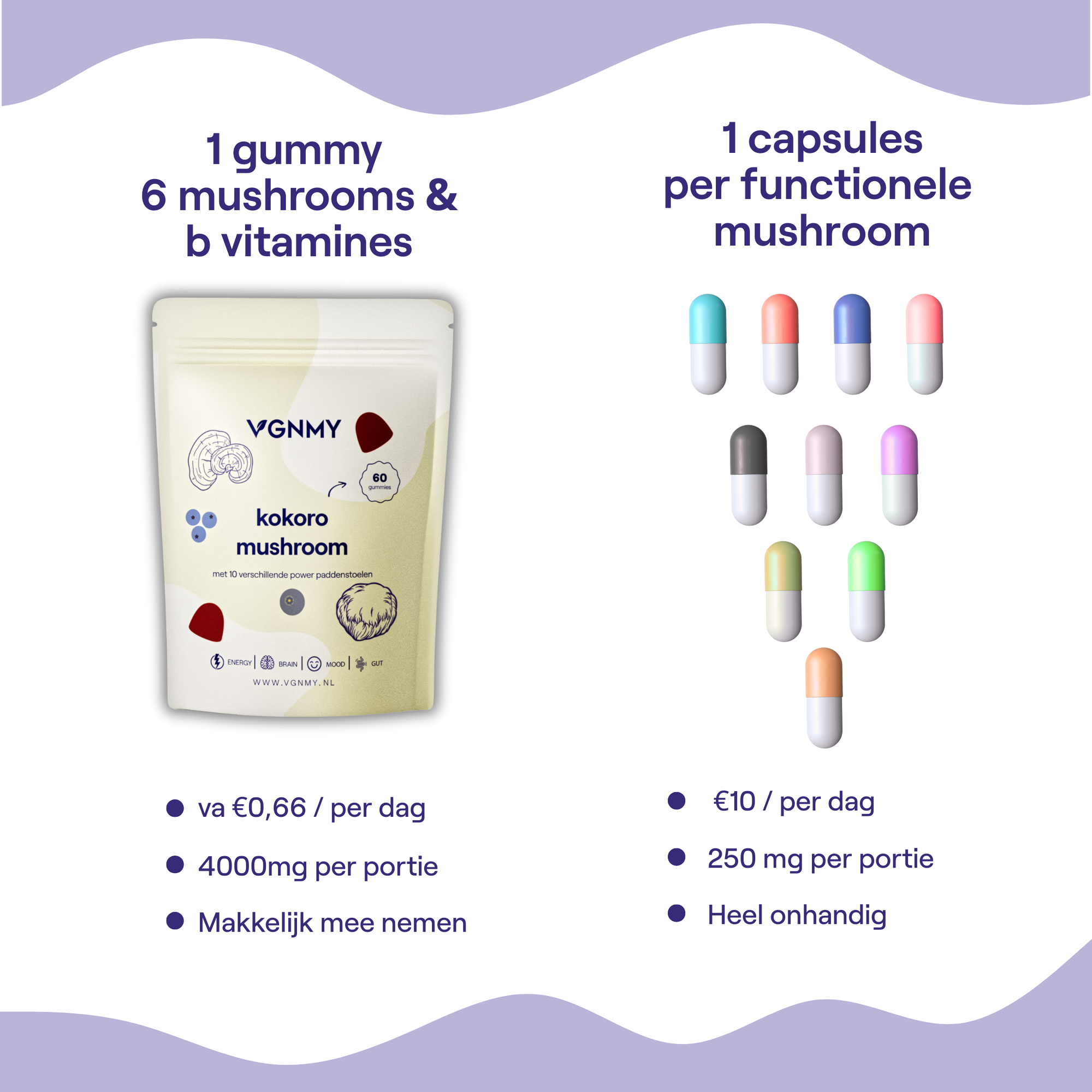 Daily Mushroom Gummies