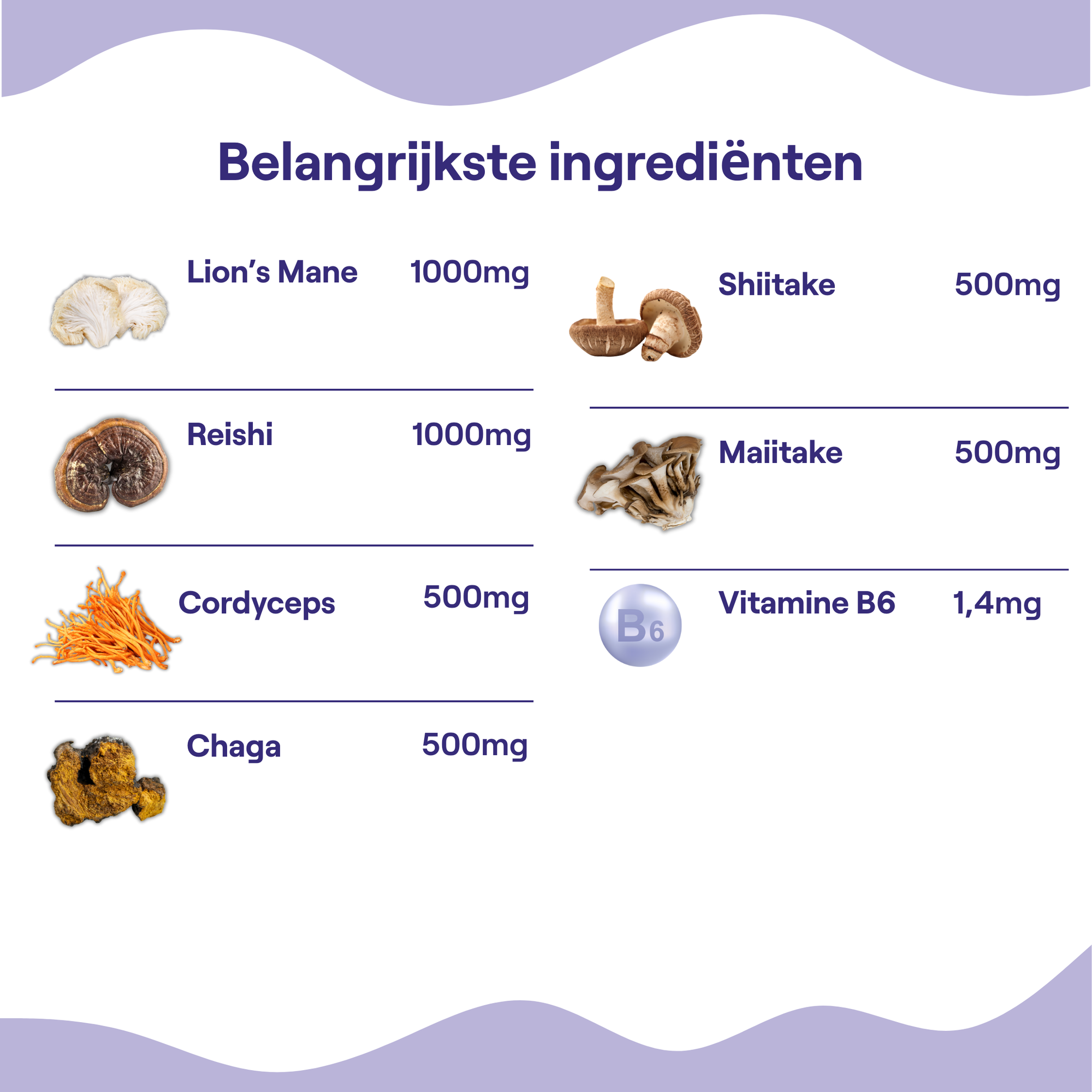 Daily Mushroom Gummies