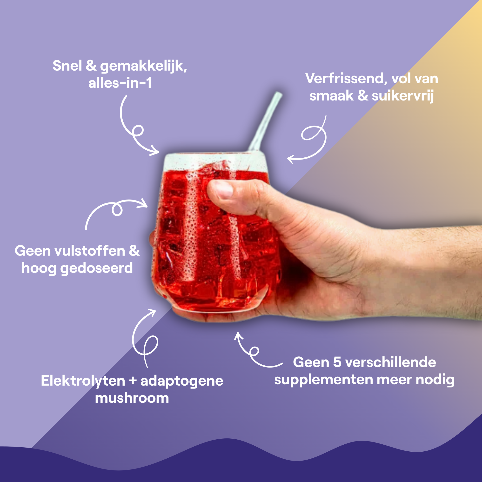 Electrolytes + Reishi Mushroom