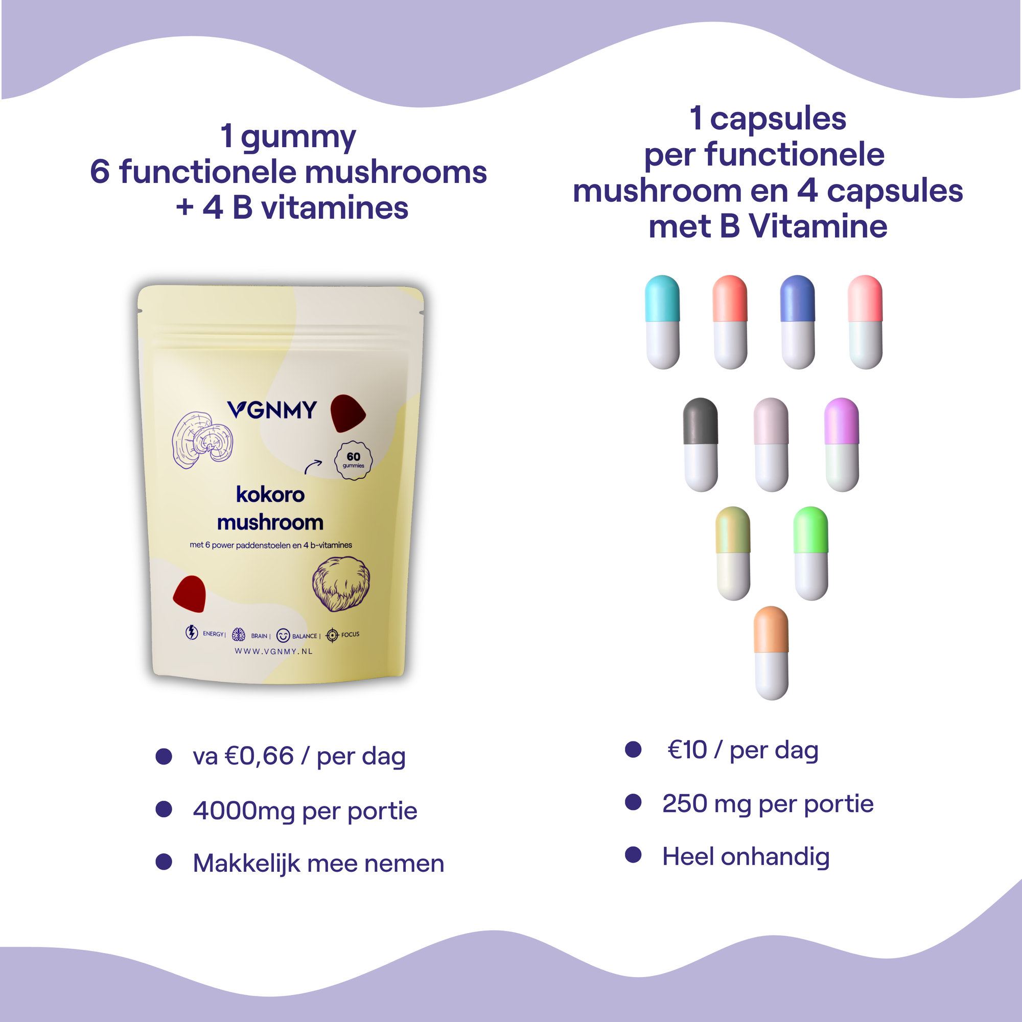 Kokoro mushroom Abonnement