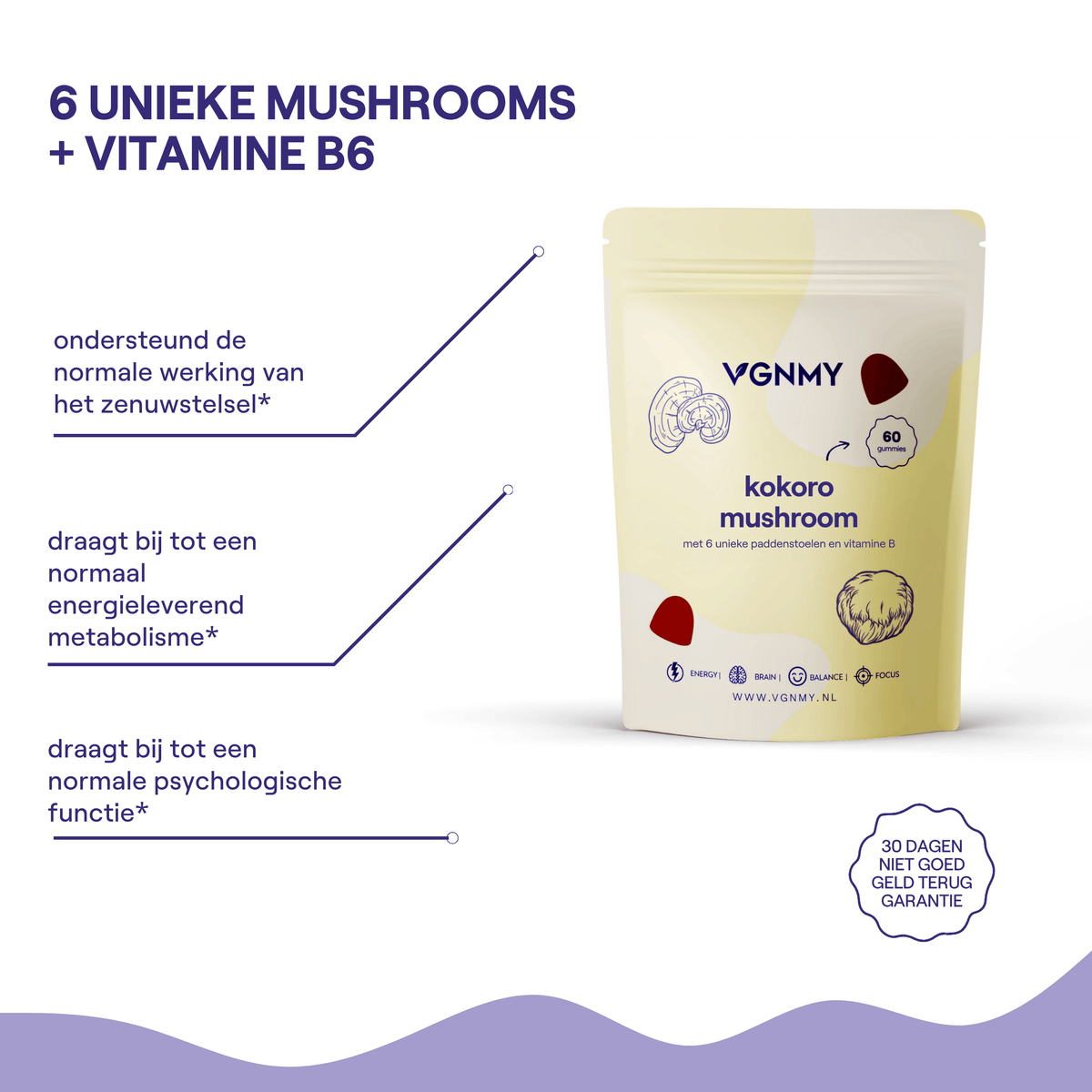 Mushroom Gummies