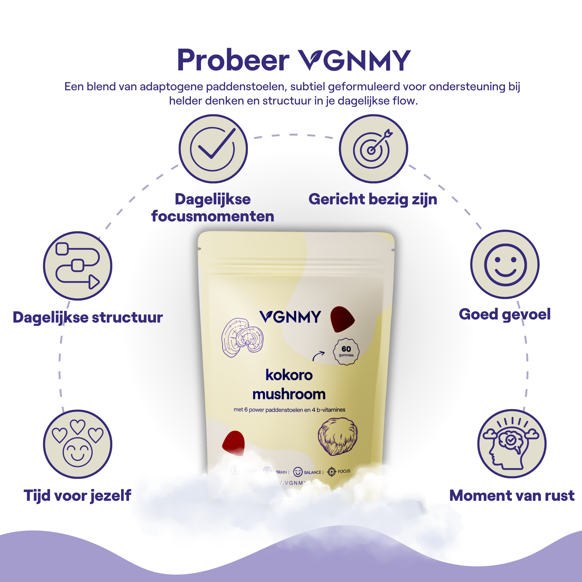 Daily Mushroom Gummies