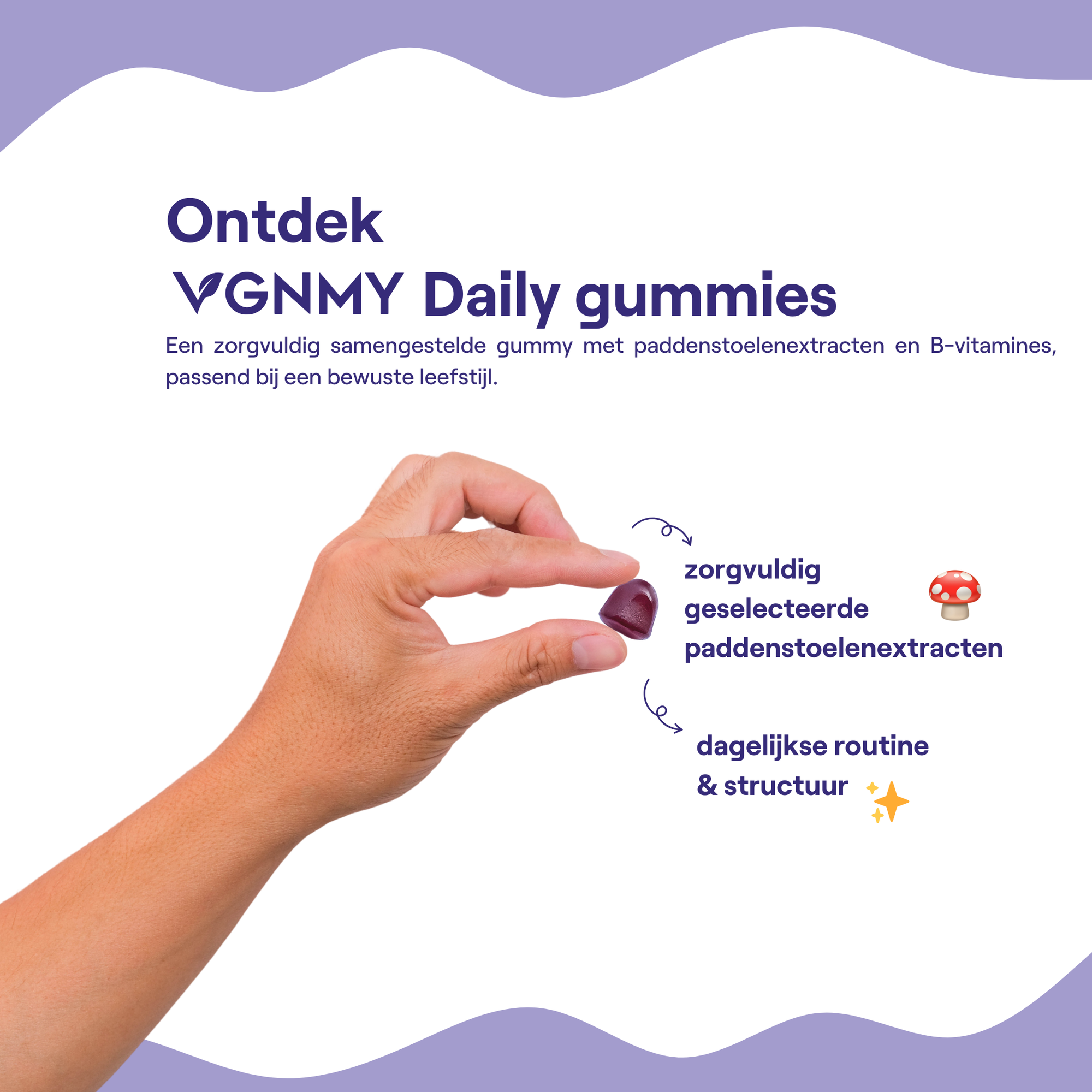 Daily Mushroom Gummies