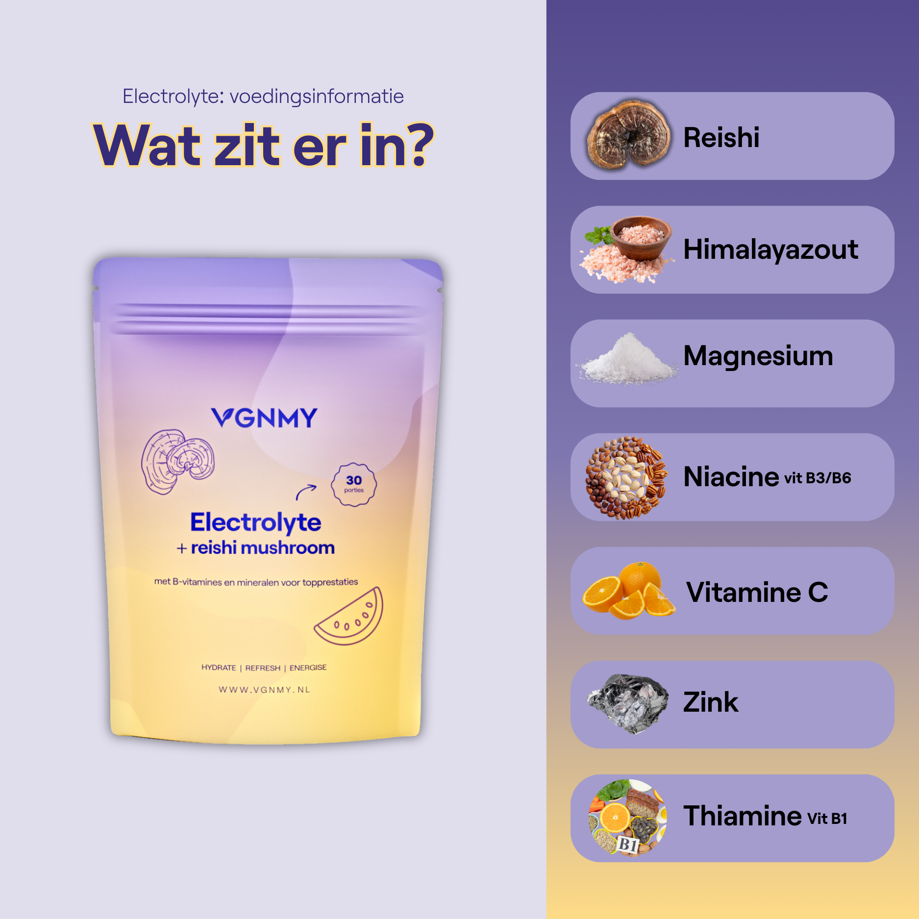 Electrolytes + Reishi Mushroom
