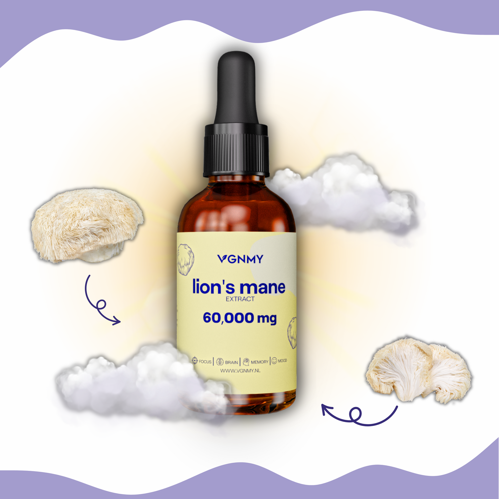 Lions Mane Druppels