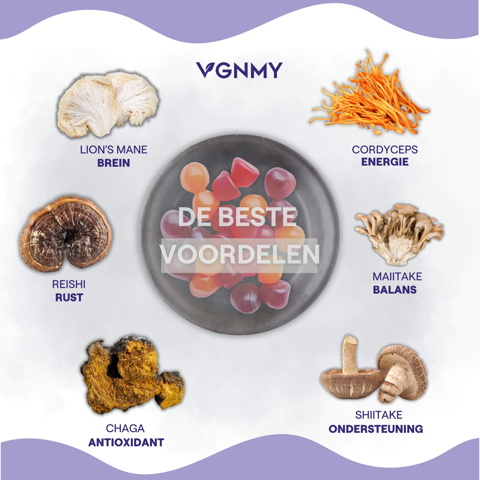 Kokoro mushroom Abonnement